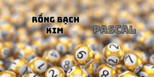 dan-de-rong-bach-kim-avt