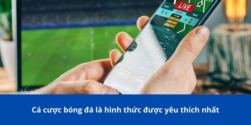 SABA Sport – Thương Hiệu Cá Cược Thể Thao Hàng Đầu Châu Á 3 Cá cược bóng đá dịch vụ được ưa chuộng nhất