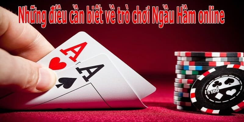 Cách Chơi Bài Ngầu Hầm - Hướng Dẫn Nhanh Cho Tân Thủ 4 Tuyệt chiêu chinh phục Ngầu Hầm dành cho newbie